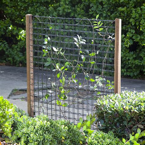 bunnings trellis|Garden Stakes & Trellis .